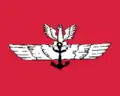 Drapeau aéronautique (1920–1928)