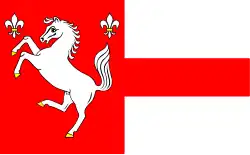 Drapeau de Łąck