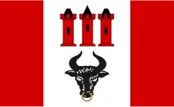 Drapeau de Gmina Bedlno