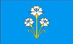 Drapeau de Gmina Kąkolewnica