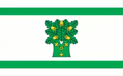 Drapeau de Gmina Ojrzeń