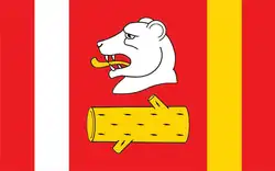 Drapeau de Gmina Radzyń Podlaski