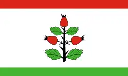 Drapeau de Gmina Rzgów