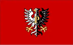 Drapeau de Powiat de Płock