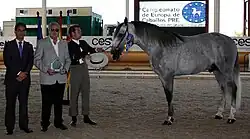 Un cheval gris avec un flot à droite, des hommes tenant un prix à gauche.