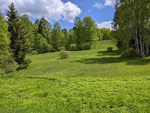 Zone naturelle protégée de Bažiny.