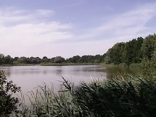 Réserve naturelle Velký Pavlovice.