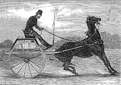 Une calèche tirée par un cheval qui ouvre grand la bouche et semble s'être figé sur place