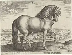 Gravure de Frison par Jan van der Straet (1523-1607)