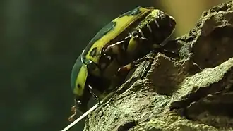 Description de cette image, également commentée ci-après