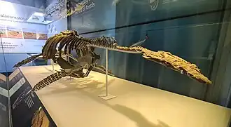 Description de cette image, également commentée ci-après