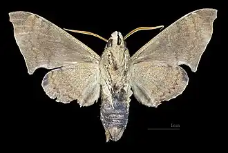 Description de cette image, également commentée ci-après