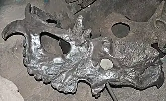 Description de cette image, également commentée ci-après