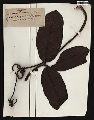 Description de cette image, également commentée ci-après