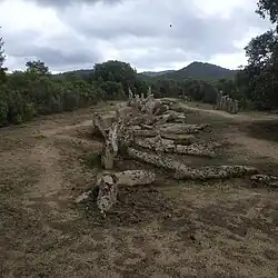 Image illustrative de l’article Alignement de Palaghju