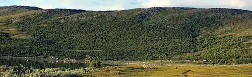 Staloloukta entouré de forêts de bouleaux