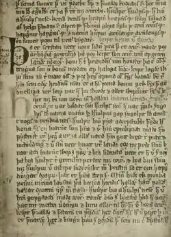 Photographie de la page d'un manuscrit couverte d'une ancienne écriture.