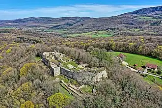 Les ruines du château de Vaulgrenant.