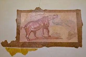Peinture de la Domus des animaux exotiques de Forum Sempronii, IIe&nbsp;siècle, Musée civique de Fossombrone.
