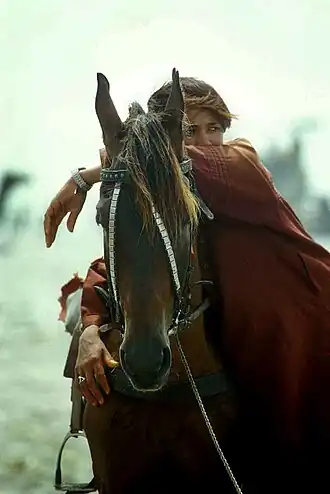 Cavalière et cheval baloutches vus de face, au Pakistan.