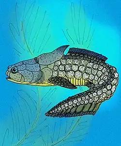 Palaeacanthaspis vasta, un Acanthothoracien.