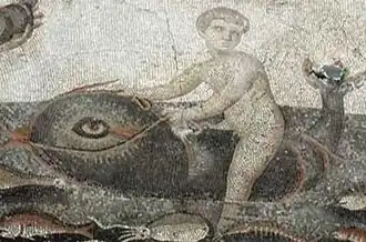 Palémon chevauchant un dauphin, mosaïque greco-romaine, Ve&nbsp;siècle&nbsp;av. J.-C., Musée d'archéologie, Antakya.