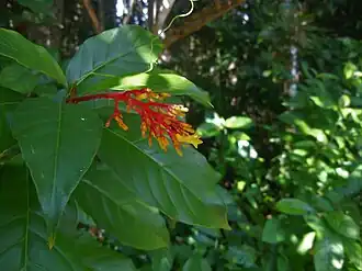 Description de cette image, également commentée ci-après