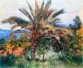 Palmier à Bordighera, Claude Monet 1884