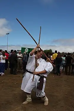 Jeu du bâton canarien