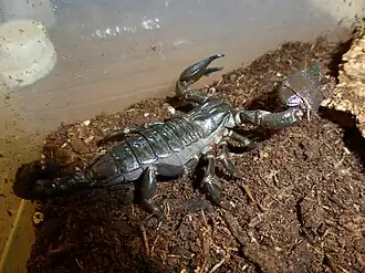 Description de cette image, également commentée ci-après