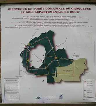 Image illustrative de l’article Forêt de Choqueuse