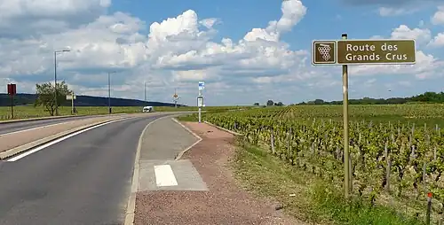Route des Grands Crus.