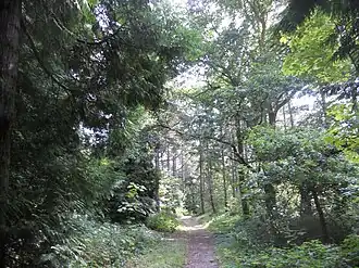 Image illustrative de l’article Forêt domaniale d'Écault