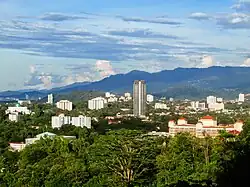 Photographie panoramique des gratte-ciel et autres immeubles de la ville de Kota Kinabalu dépassant la cime des arbres de la forêt tropicale qui les entoure.