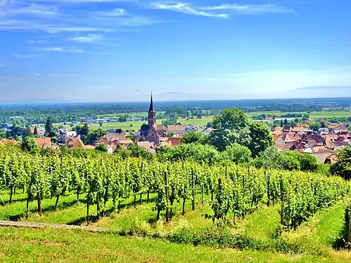 Panorama sur Soultz-Haut-Rhin, depuis le vignoble du Hornstein