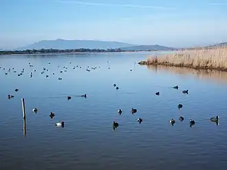 Image illustrative de l’article Lac de Burano