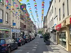 Guirlande de papillons rue Charles de Gaulle