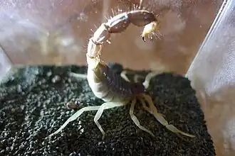 Description de cette image, également commentée ci-après