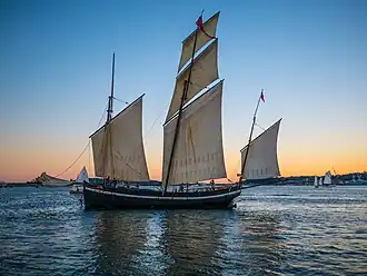 illustration de Grayhound