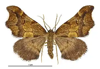 Description de cette image, également commentée ci-après