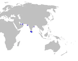 Description de l'image Paragaleus randalli distmap.png.