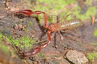 Description de cette image, également commentée ci-après
