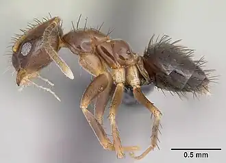 Description de cette image, également commentée ci-après