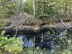 Mare ou petit cours d'eau