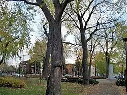 Parc du Square Garneau