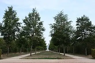 Allées du parc du château de Brabois