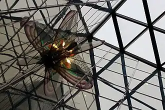 Métamorphose d’IcareClaire Sarrasin.