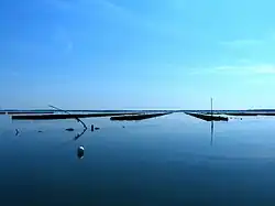Parcs ostréicoles dans le Golfe du Morbihan