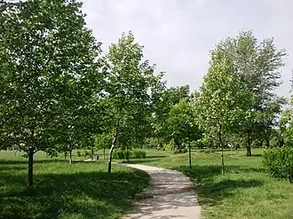 Image illustrative de l’article Parc Izvor