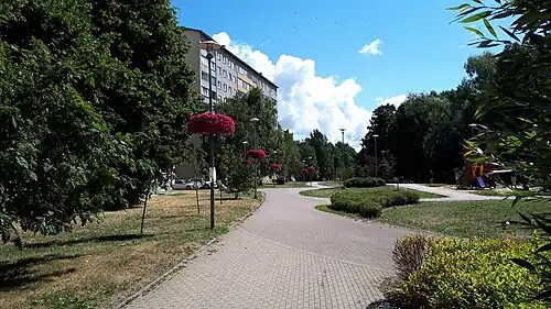 Parc de l'étang aux canards.